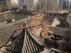 -戏马台景区