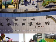 -中国西峡恐龙遗迹园
