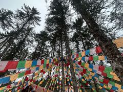 -硗碛藏寨·神木垒景区