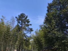 -陶祖圣境风景区