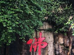 -鼎湖山风景区
