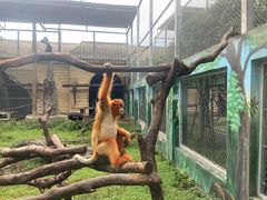 -西安秦岭野生动物园