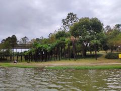 -美兰湖景区