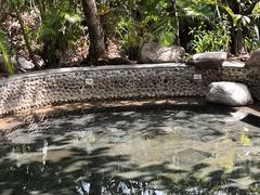 -三亚珠江南田温泉度假区