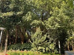 -苏州河梦清园环保主题公园