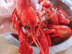 -上海财经大学-新食堂