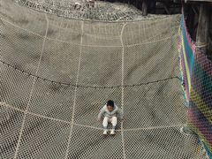 -呀路古热带植物园