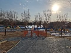 -青龙湖公园