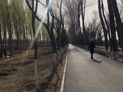 -东郊湿地公园