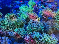 -大连自然博物馆