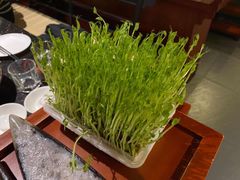 -捞王猪肚鸡火锅(昆山店)