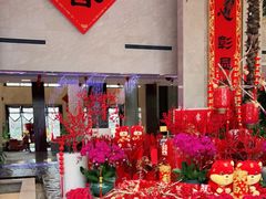 -常州环球恐龙城维景国际大酒店
