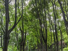 -美兰湖景区