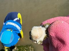 -东戴河风景区-止锚湾