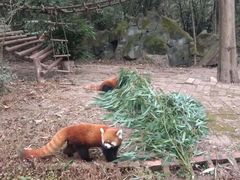 -石林冰雪海洋世界