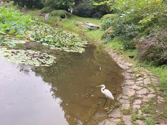 -棒棰岛宾馆景区