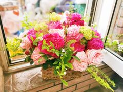 -花鸟鱼虫鲜花绿植市场(玉泉路店)