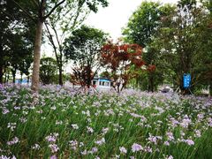 -东钱湖小普陀景区