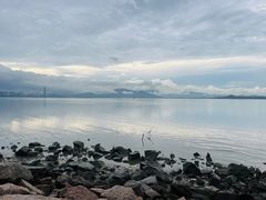 -深圳湾公园(南山区)
