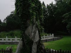 -丰台花园