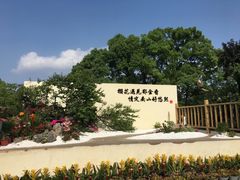 -南山植物园