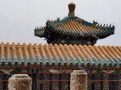 -颐和园