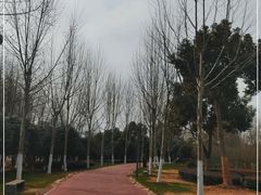 -滨湖塘西河公园