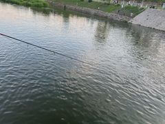 -马家湾湿地公园