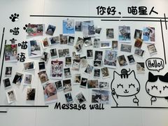 -瑞派·关忠动物医院·猫专科·犬专科(三环新城店)