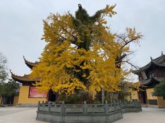 -圆通寺