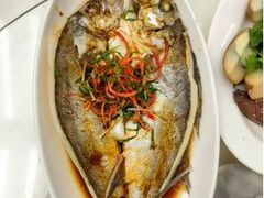 -日日香卤鹅饭店·澄海狮头鹅(澄海店)