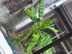 -乌记大厨餐厅