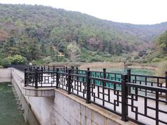 -九龙潭景区