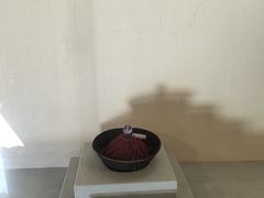 -平遥县衙