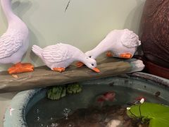 -芙蕾哥哥souffle