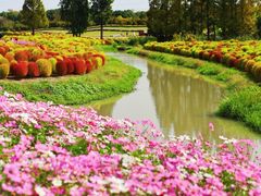 -花开海上生态园