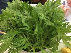 皇帝菜-椰子营·椰子鸡火锅(万象里店)