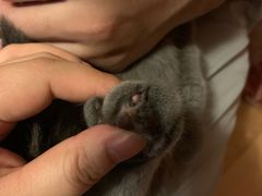 -北京博爱动物医院有限公司