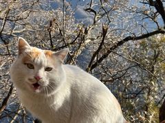 -终南山南五台景区