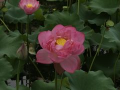 -长广溪湿地公园