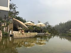 -厦门园林植物园-植物园滴水山房