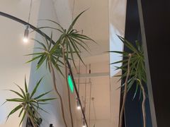 -gaga(深圳南山益田假日广场店)