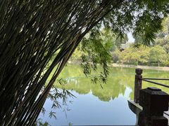 -棠湖公园