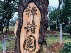 -宜春禅都文化博览园
