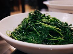 金花菜酒香-新聚丰菜馆(太监弄店)