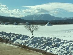 -亚布力新体委滑雪场