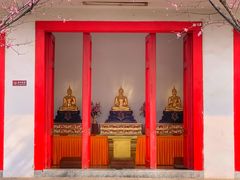 -洛阳白马寺