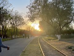 -永定河休闲森林公园