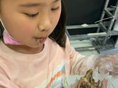 -邓氏兔头