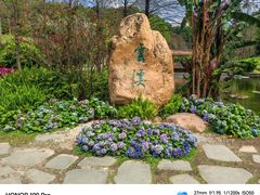 -云溪植物园